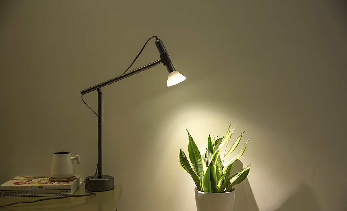 Allocacoc® FlashLight |DeskSpot| warm Επαναφορτιζόμενος Φακός LED με βάση γραφείου (γκρι)