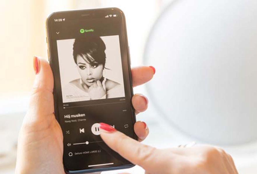 Defunc HOME Large Aσύρματο Δικτυακό Hχείο Multiroom (μαύρο)