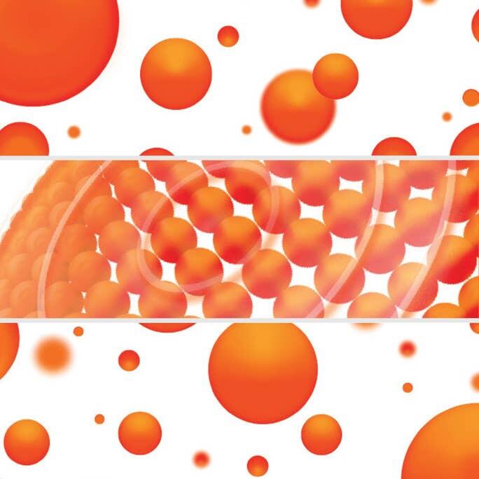 Zagg Santa Cruz Snap Θήκη προστασίας που αντέχει σε πτώσεις έως 4 μέτρα – iPhone 14 Pro (Clear)